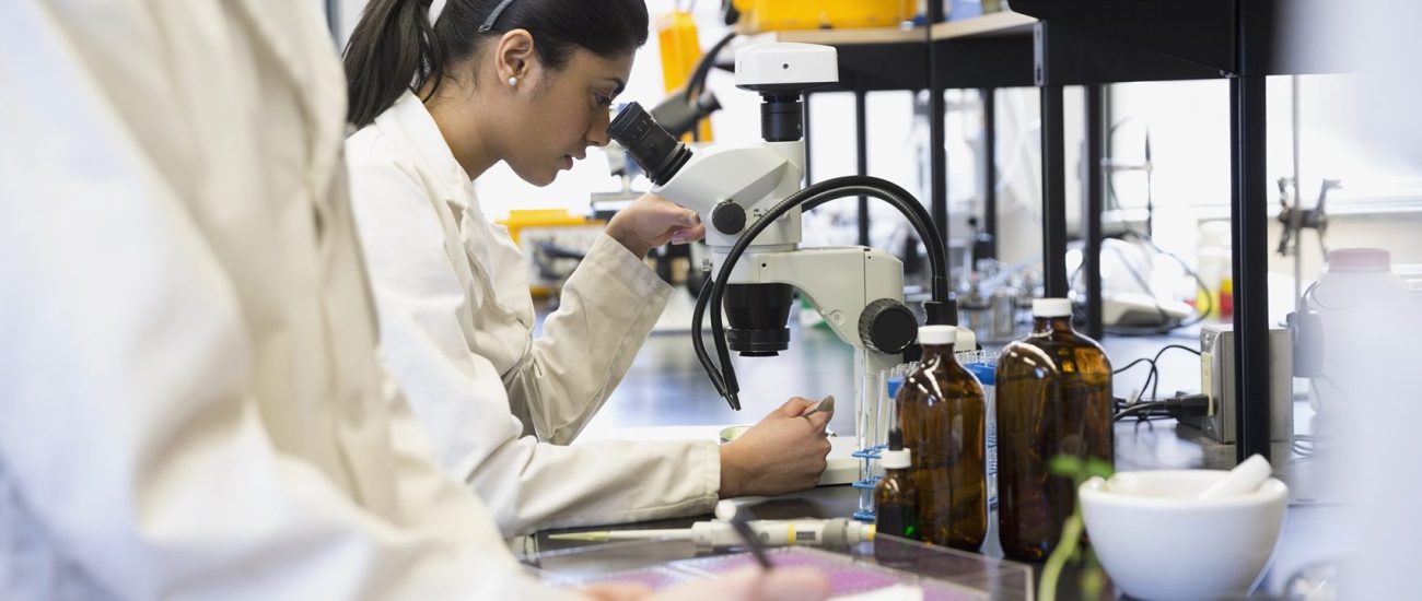 Biotecnología trabajo salidas profesionales
